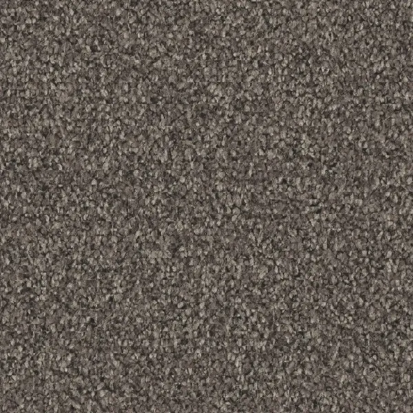 Vorwerk Luana Teppichboden granit – rechteckige Draufsicht